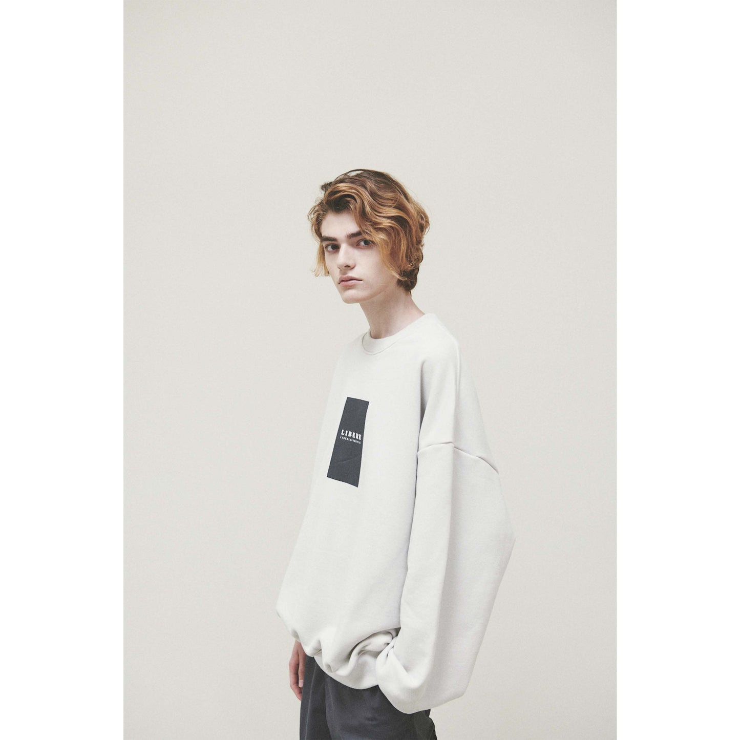 1DAY SWEATSHIRT / LIGHT GRAY