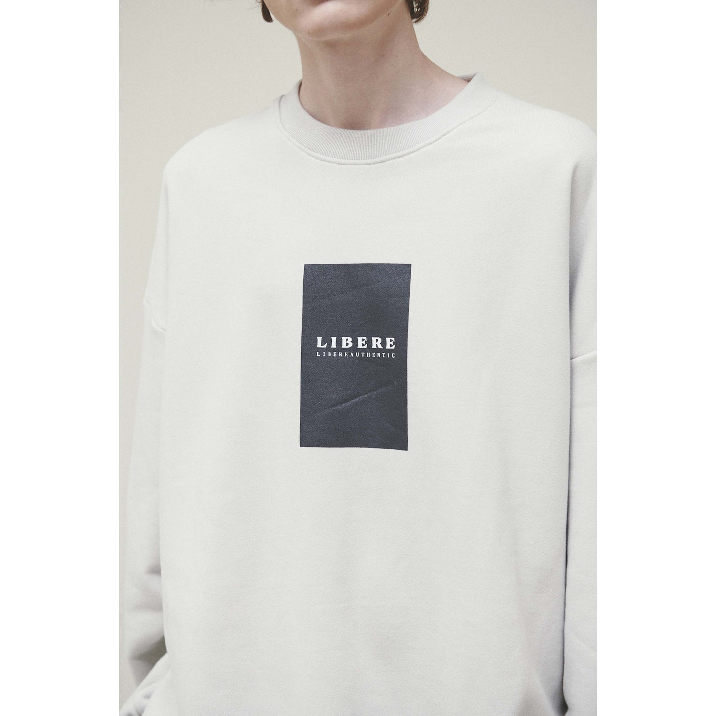 1DAY SWEATSHIRT / LIGHT GRAY