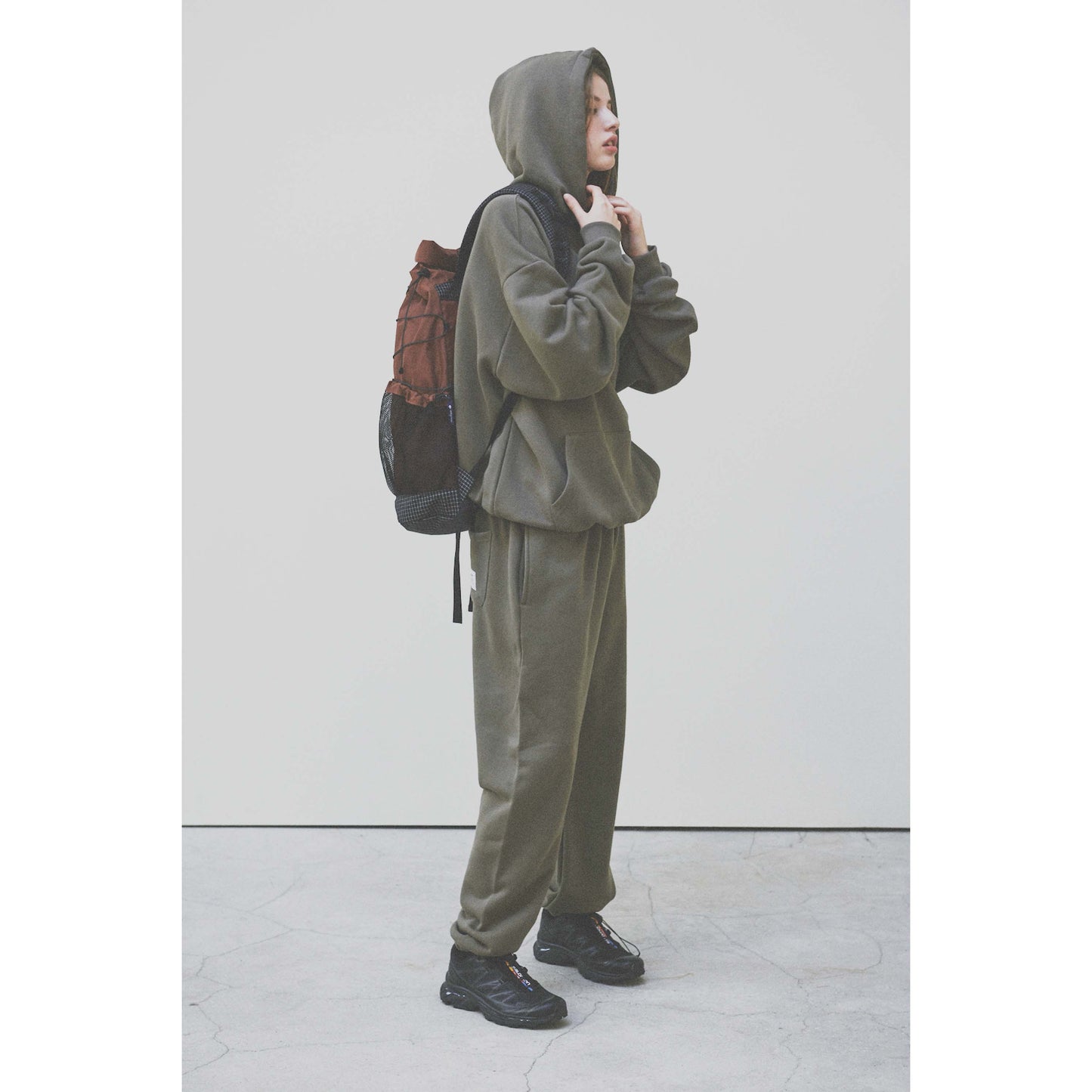 AT ROLLTOP BACK PACK / BRICK RED