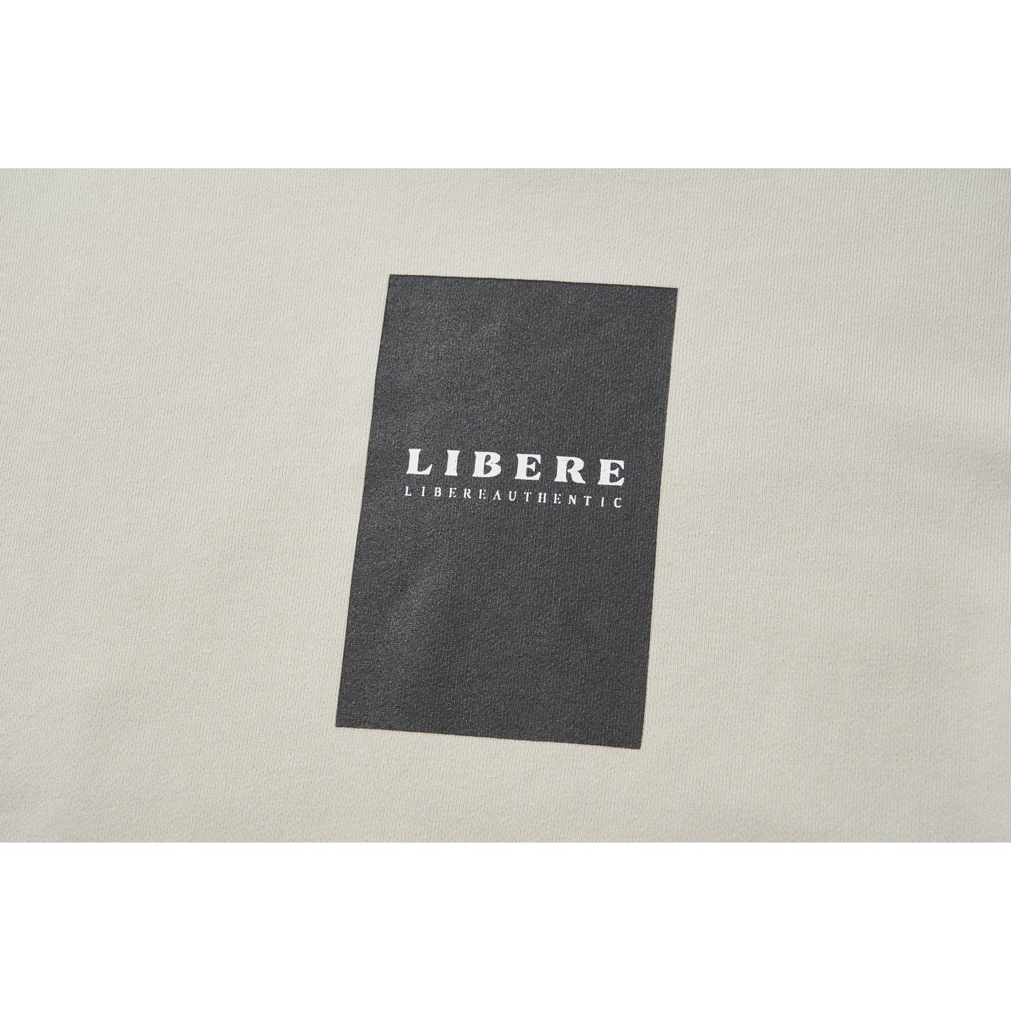 1DAY SWEATSHIRT / LIGHT GRAY