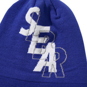WDS X LIBERE BEANIE / ROYAL BLUE