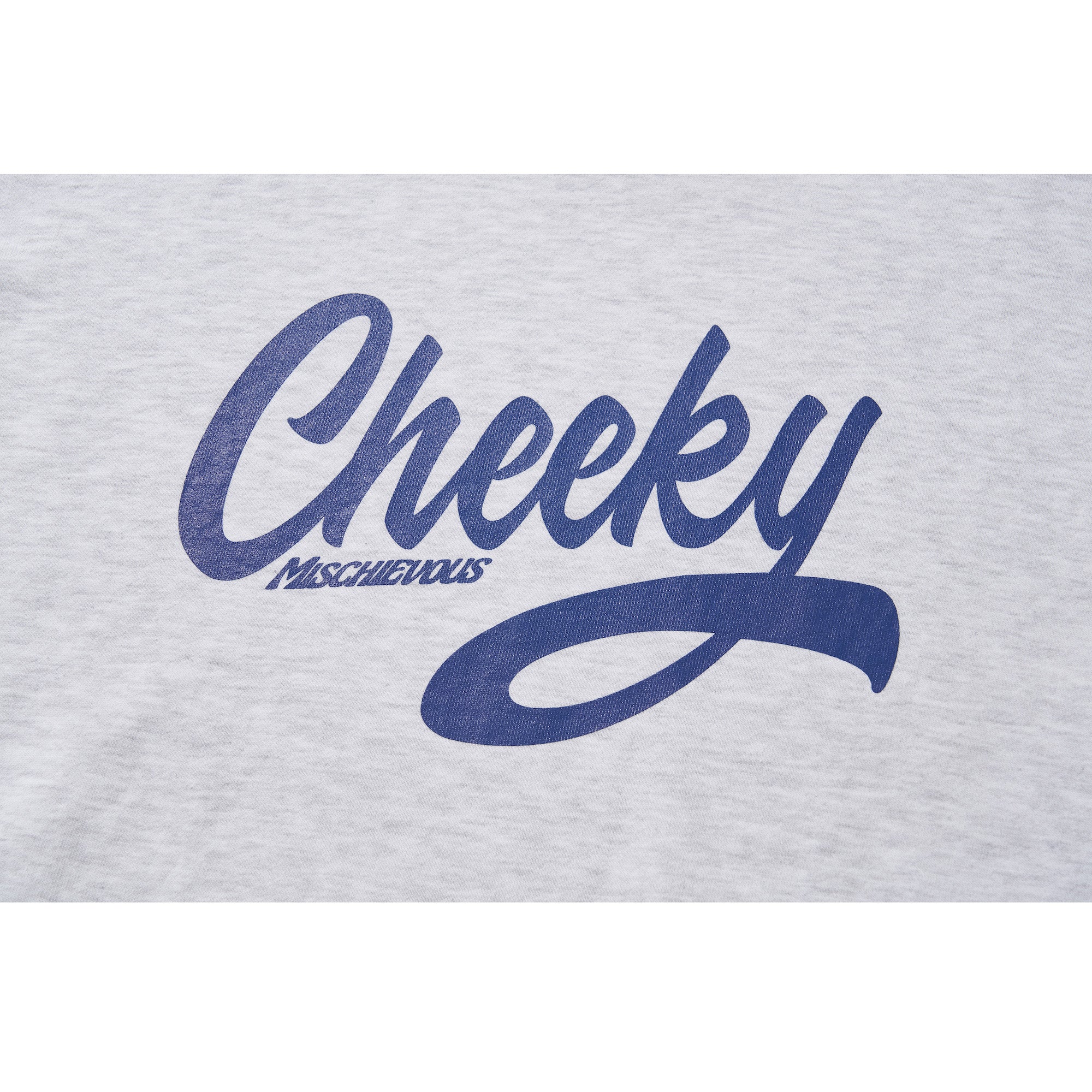 CHEEKY CREW SWEAT / GRAY
