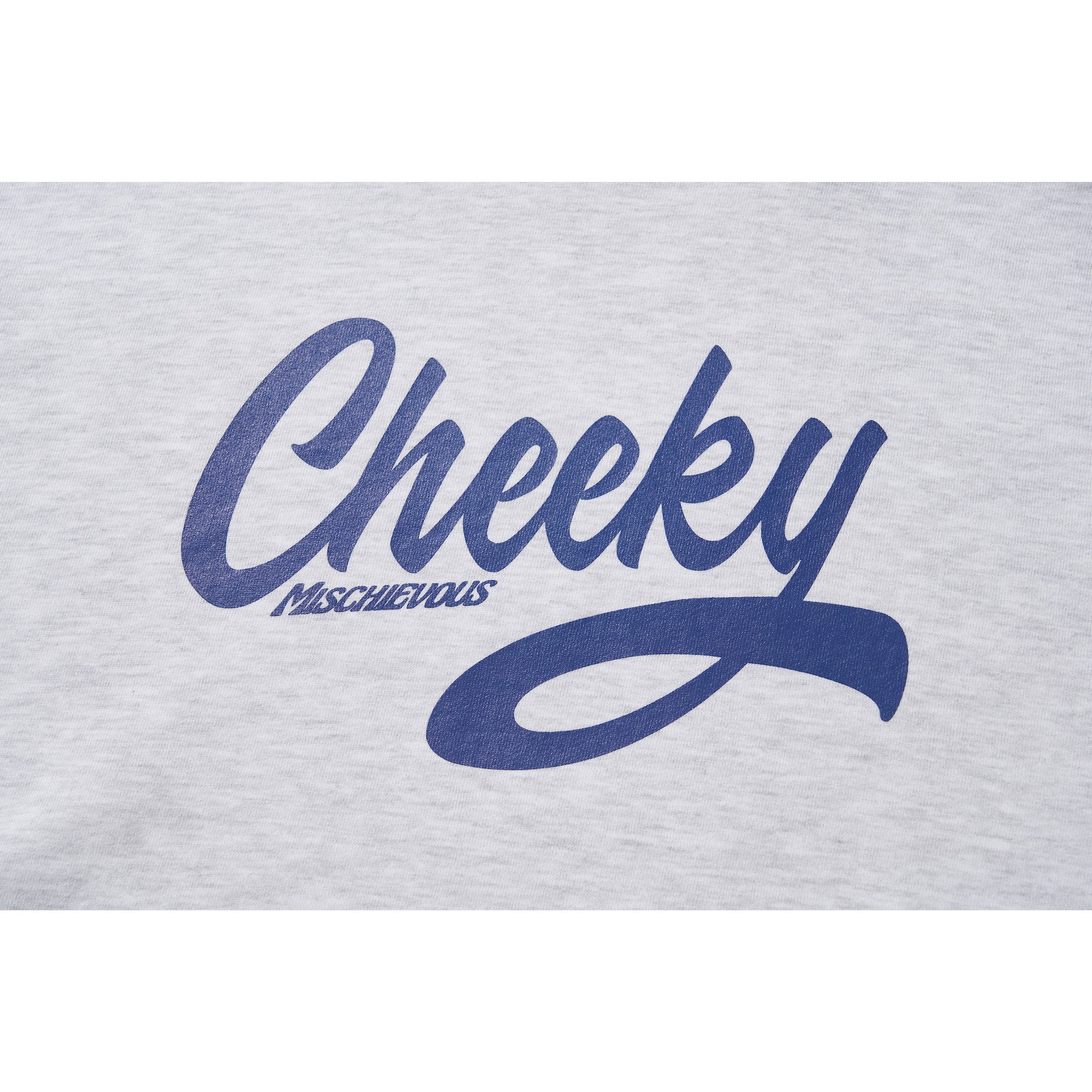 CHEEKY HOODIE / GRAY